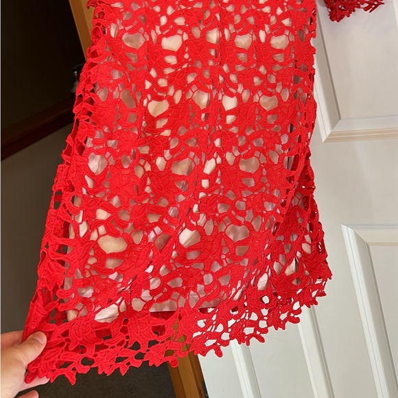 Red Lace Dress - Picture 5 of 6